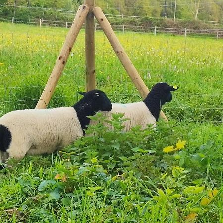Ferienwohnung Raeuberhoehle Alterkulz Bagian luar foto
