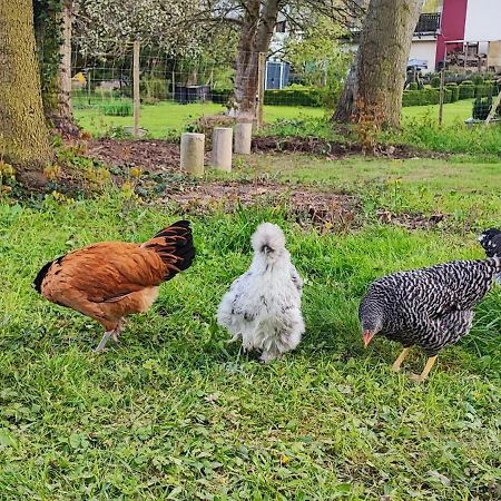 Ferienwohnung Raeuberhoehle Alterkulz Bagian luar foto