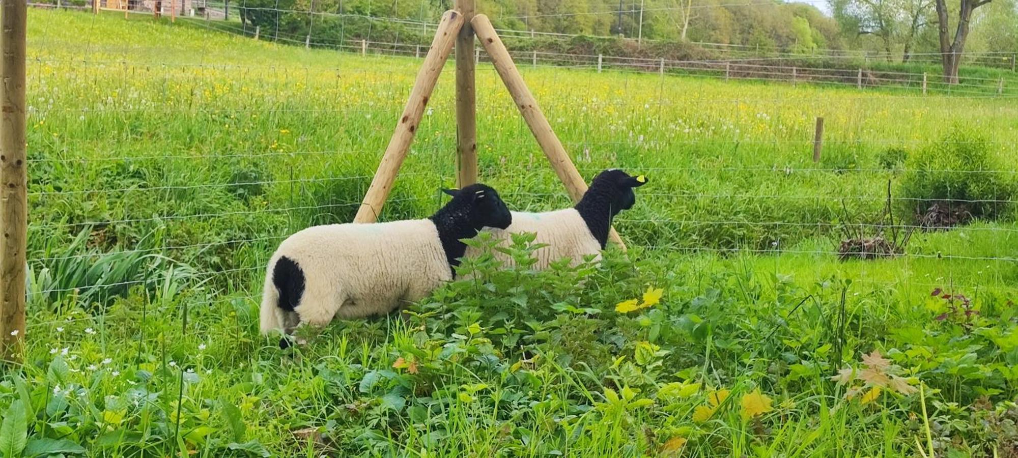 Ferienwohnung Raeuberhoehle Alterkulz Bagian luar foto