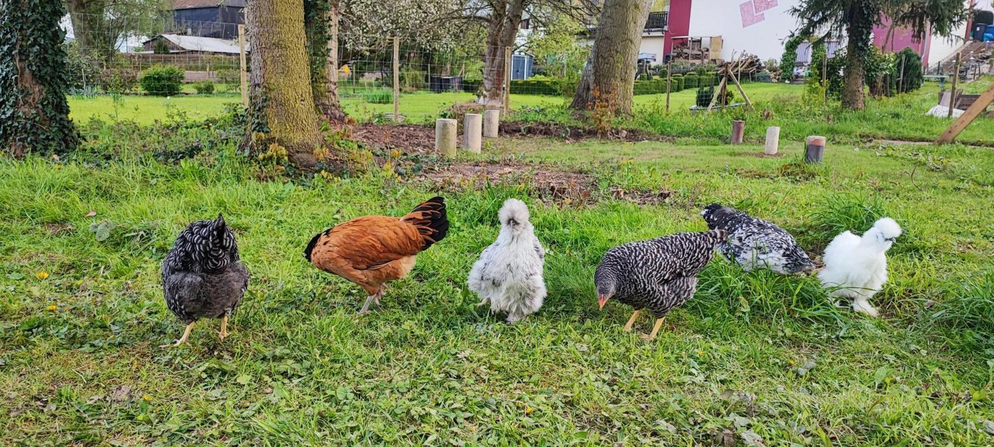Ferienwohnung Raeuberhoehle Alterkulz Bagian luar foto